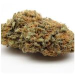 Шишки AK47  (Гидропоника, Бошка) VHQ в Корсакове